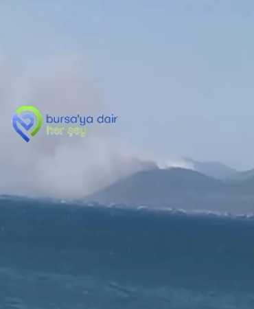 Ekran görüntüsü 2026-07-29 151132