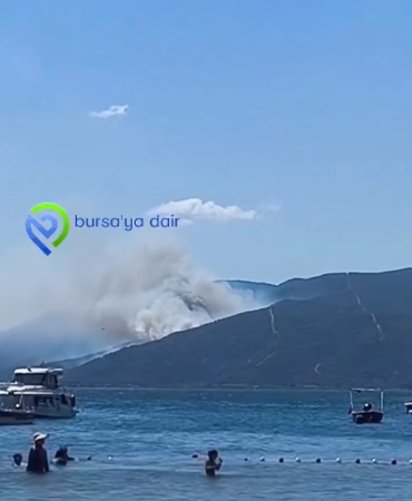 Ekran görüntüsü 2026-07-29 160224