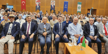 Ekran görüntüsü 2026-07-31 174214