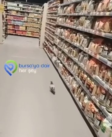 Screenshot_2026-07-13-22-16-27-473_com.miui.videoplayer-edit