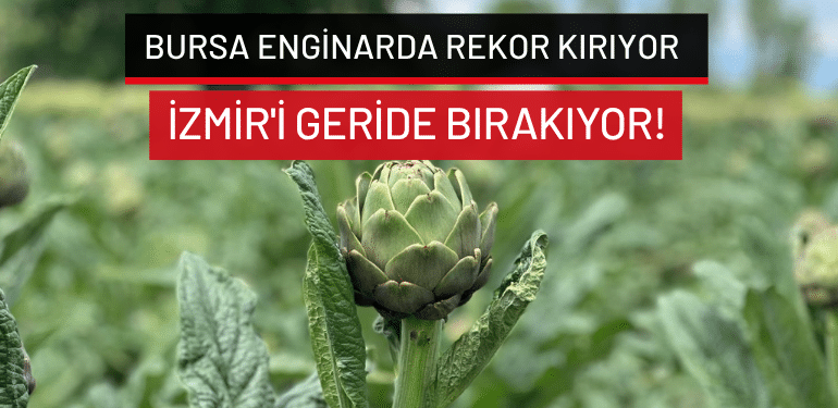 Bursa enginarda rekor kırıyor: İzmir’i geride bırakıyor!