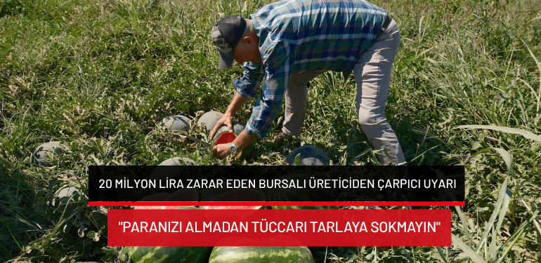 Bursa’da 20 milyon lira zarar eden Bursalı üreticiden çarpıcı uyarı: “Paranızı almadan tüccarı tarlaya sokmayın”