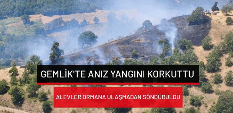 Gemlik’te anız yangını korkuttu: Alevler ormana ulaşmadan söndürüldü