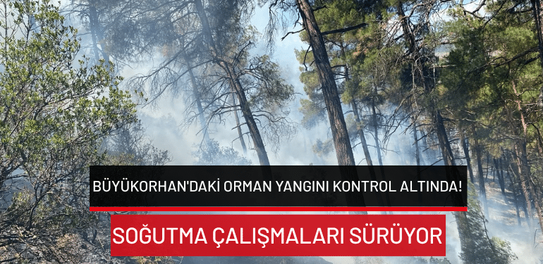 Bursa Büyükorhan’daki orman yangını kontrol altında: Soğutma çalışmaları sürüyor!