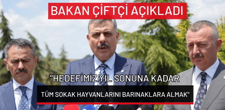 Bakan Çiftçi açıkladı: “Hedefimiz yıl sonuna kadar tüm sokak hayvanlarını barınaklara almak”