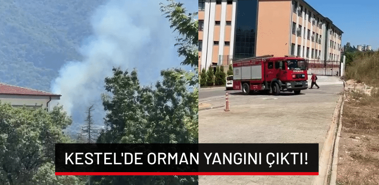 Bursa Kestel’de orman yangını çıktı!