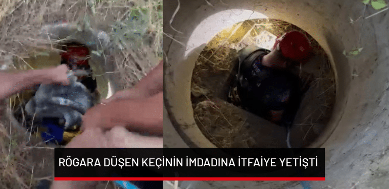 Bursa’da rögara düşen keçinin imdadına itfaiye yetişti
