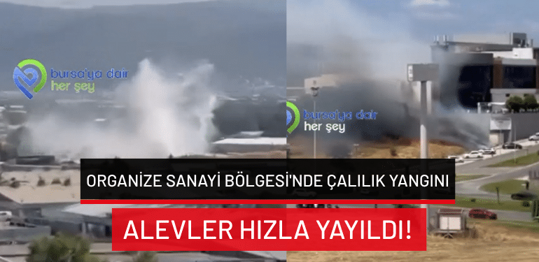 Bursa’da Organize Sanayi Bölgesi’nde çalılık yangını: Alevler hızla yayıldı!