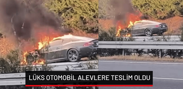 Bursa’da lüks otomobil alevlere teslim oldu