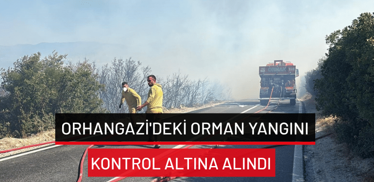 Orhangazi’deki orman yangını kontrol altına alındı