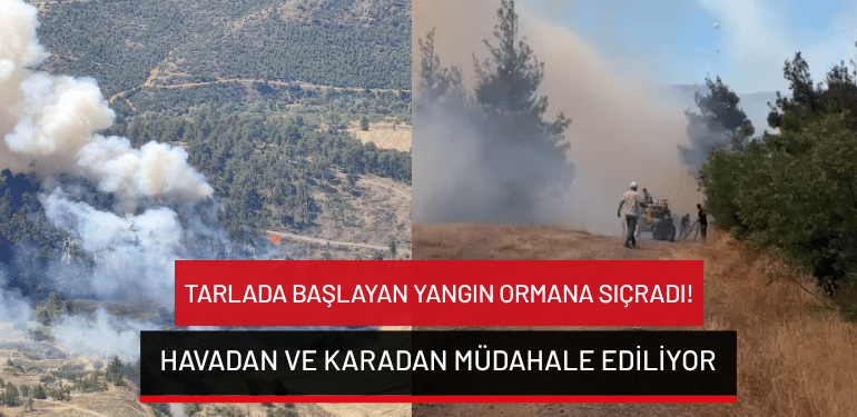 Bursa’da tarlada başlayan yangın ormana sıçradı: Havadan ve karadan müdahale ediliyor!