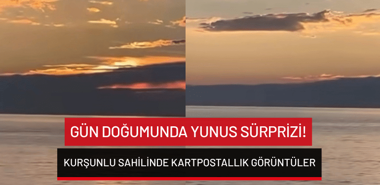 Bursa’da gün doğumunda yunus sürprizi! Kurşunlu sahilinde kartpostallık görüntüler