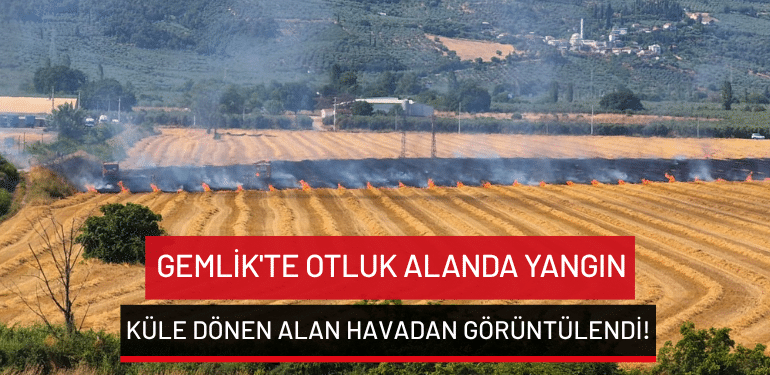 Bursa Gemlik’te otluk alanda yangın: Küle dönen alan havadan görüntülendi!