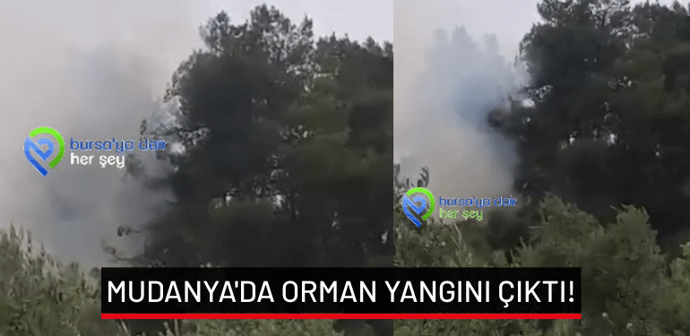 Bursa Mudanya’da orman yangını çıktı!