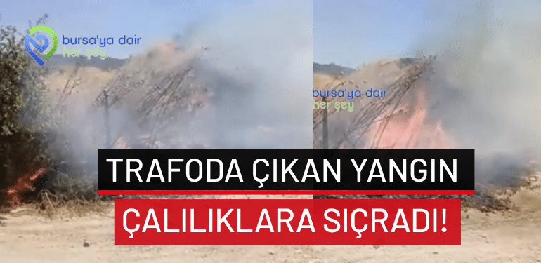 Bursa’da trafoda çıkan yangın çalılıklara sıçradı!