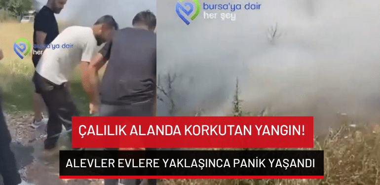 Bursa’da çalılık yangınında alevler evleri tehdit etti!