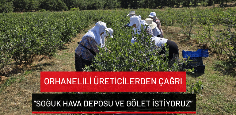 Orhanelili üreticilerden çağrı: “Soğuk hava deposu ve gölet istiyoruz”
