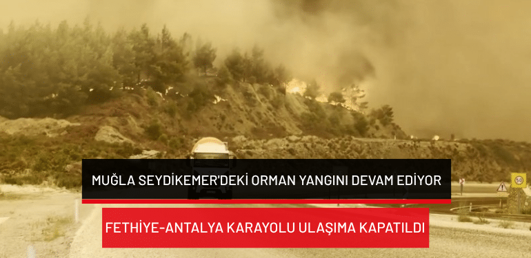 Muğla Seydikemer’deki orman yangını devam ediyor: Fethiye-Antalya karayolu ulaşıma kapatıldı