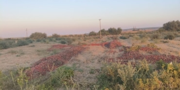 DÖKÜLEN DOMATESLERİN ÇÜRÜK OLDUĞU ORTAYA ÇIKTI TIR DOLUSU DOMATESLERİ DÖKERKEN GÖSTERİ YAPTI AMA SONRA GERÇEK ORTAYA ÇIKTI