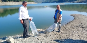 ORHANELİ'DE GÖLETLER SAZAN YAVRULARIYLA BULUŞTU BURSA'DAKİ 41 AYRI SU KAYNAĞINA BU YIL TOPLAM 1 MİLYON 21 BİN YAVRU SAZAN BIRAKILMASI PLANLANIYOR
