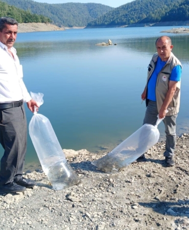 ORHANELİ'DE GÖLETLER SAZAN YAVRULARIYLA BULUŞTU BURSA'DAKİ 41 AYRI SU KAYNAĞINA BU YIL TOPLAM 1 MİLYON 21 BİN YAVRU SAZAN BIRAKILMASI PLANLANIYOR