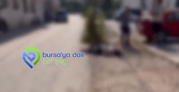 Ekran görüntüsü 2026-08-11 113910