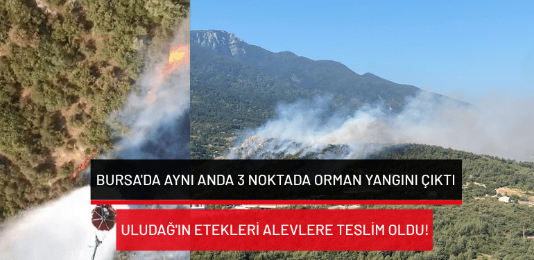 Bursa’da aynı anda 3 noktada orman yangını çıktı: Uludağ’ın etekleri alevlere teslim oldu!