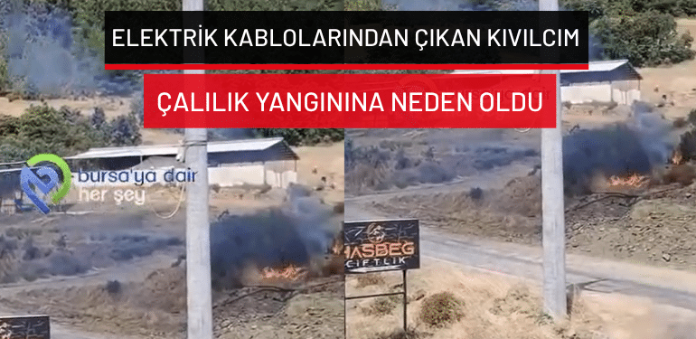 Bursa Ağlaşan’da elektrik kablolarından çıkan kıvılcım çalılık yangınına neden oldu