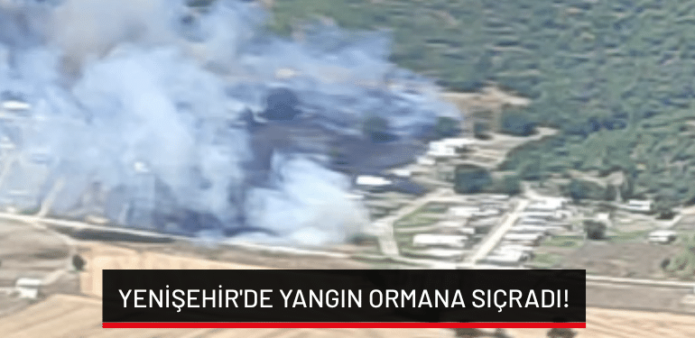Bursa Yenişehir’de yangın ormana sıçradı!