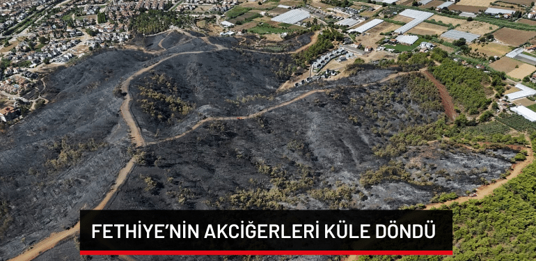 Fethiye’nin akciğerleri küle döndü