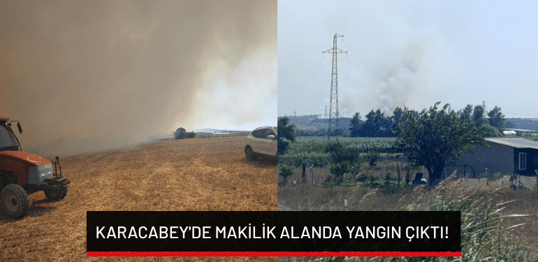 Karacabey’de makilik alanda yangın çıktı!