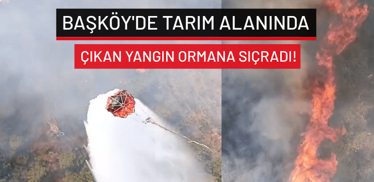 Bursa Başköy’de tarım alanında çıkan yangın ormana sıçradı!