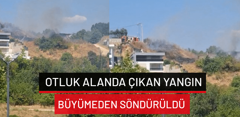 Nilüfer’de otluk alanda çıkan yangın büyümeden söndürüldü