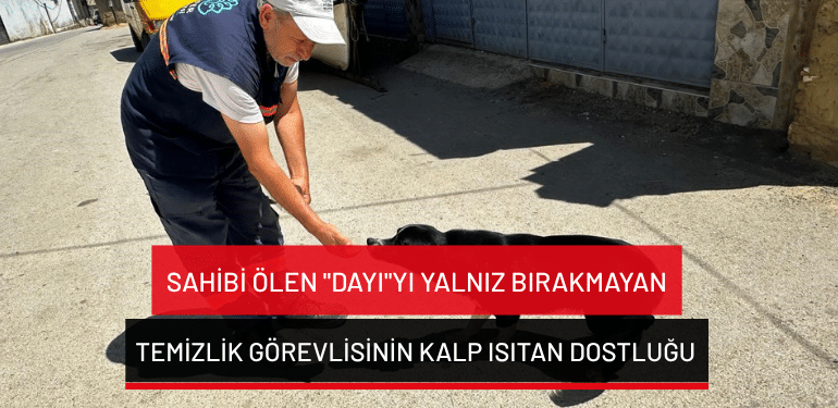 Bursa’da sahibi ölen “Dayı”yı yalnız bırakmayan temizlik görevlisinin kalp ısıtan dostluğu