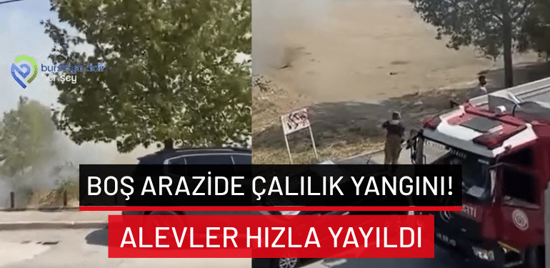 Bursa’da boş arazide çalılık yangını: Alevler hızla yayıldı!