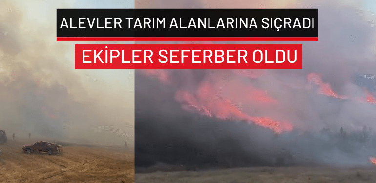 Bursa’da alevler tarım alanlarına sıçradı… Ekipler seferber oldu