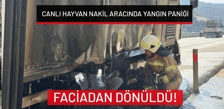 Bursa yolunda canlı hayvan nakil aracında yangın paniği: Faciadan dönüldü!