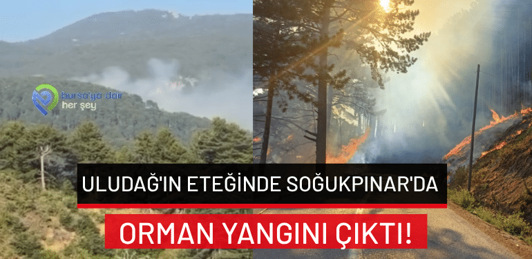 Uludağ’ın eteğinde Soğukpınar’da orman yangını çıktı!