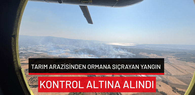 Bursa’da tarım arazisinden ormana sıçrayan yangın kontrol altına alındı