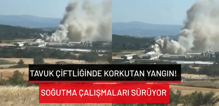 Bursa’da tavuk çiftliğinde korkutan yangın! Soğutma çalışmaları sürüyor