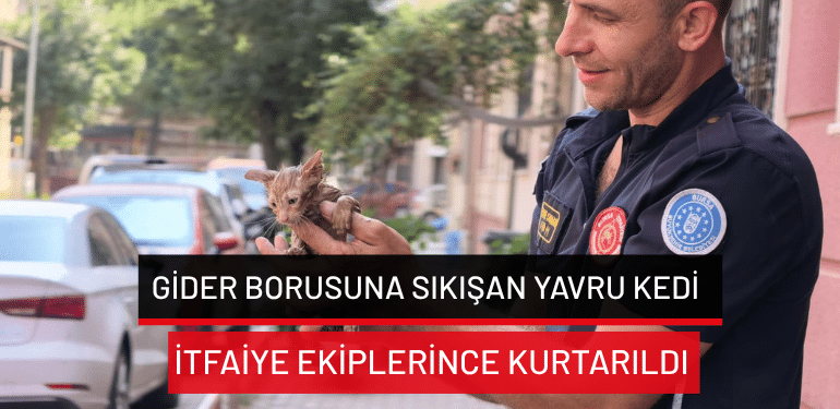 Bursa’da gider borusuna sıkışan yavru kedi itfaiye ekiplerince kurtarıldı