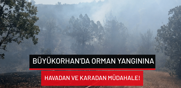 Büyükorhan’da orman yangınına havadan ve karadan müdahale!