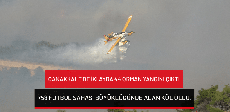 Çanakkale’de iki ayda 44 orman yangını çıktı: 758 futbol sahası büyüklüğünde alan kül oldu!