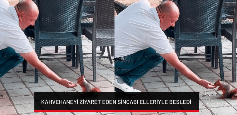 Bursa’da kahvehaneyi ziyaret eden sincabı elleriyle besledi
