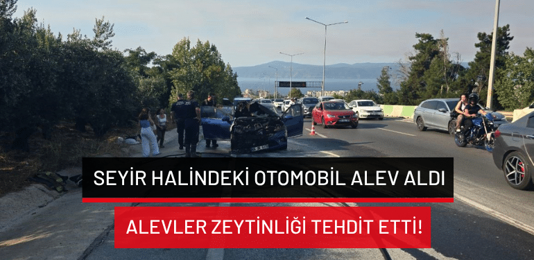 Bursa’da seyir halindeki otomobil alev aldı: Alevler zeytinliği tehdit etti!