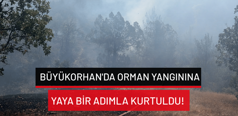 Büyükorhan’da orman yangınına havadan ve karadan müdahale!