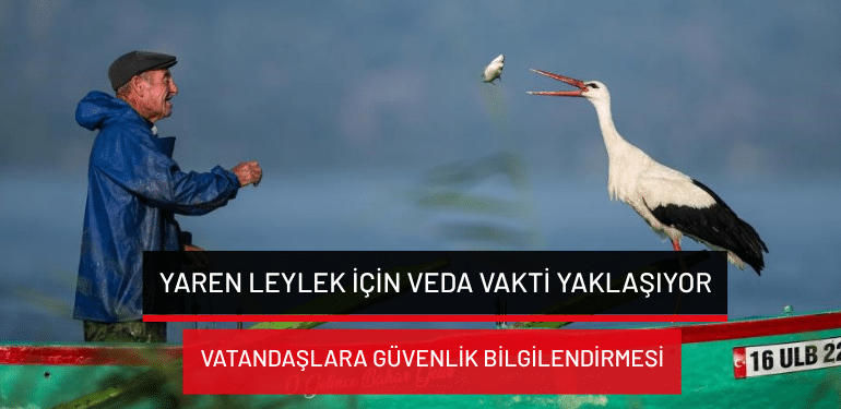 Yaren leylek için veda vakti yaklaşıyor: Adem amca yine hüzünleniyor!