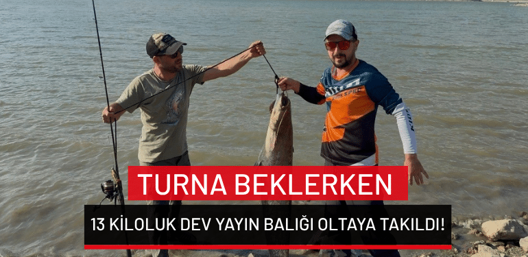 Bursa’da turna beklerken 13 kiloluk dev yayın balığı oltaya takıldı!