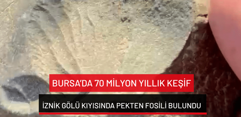 Bursa’da 70 milyon yıllık keşif… İznik Gölü kıyısında pekten fosili bulundu