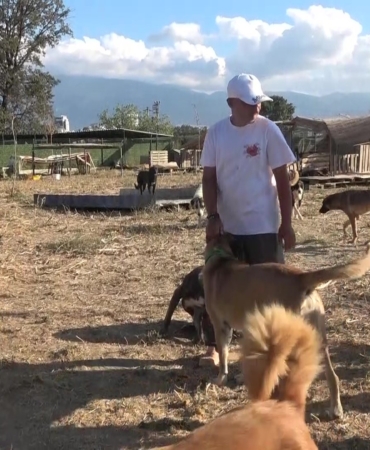 18 YILLIK GÖNÜLLÜLÜK, 4,5 DÖNÜMLÜK YAŞAM EVİNE DÖNÜŞTÜ...130 CANA YUVA OLDULAR ŞİDDETİN İZLERİNİ SEVGİYLE SİLİYORLAR; "NE KADAR CAN KURTARIRSAK O KADAR MUTLUYUZ"